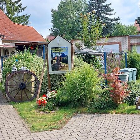 Ferienwohnung Gaensebluemchen Wartenburg Exteriér fotografie