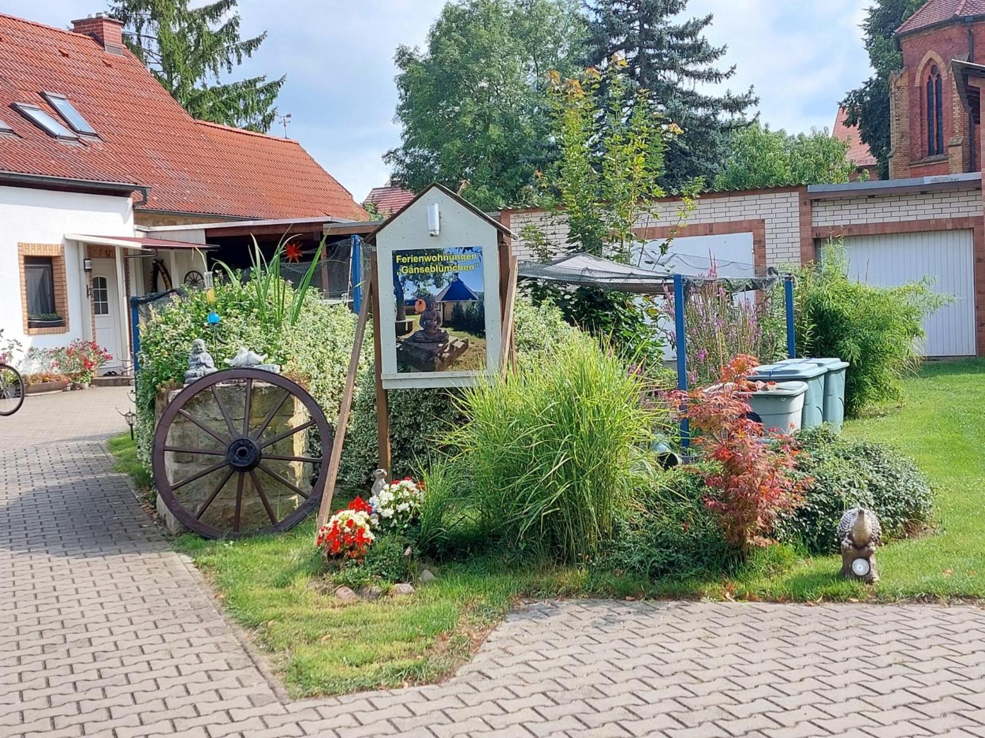 Ferienwohnung Gaensebluemchen Wartenburg Exteriér fotografie